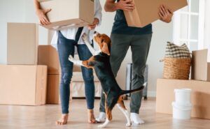 10 Questions to Ask Before Hiring Removalists (Most People Forget #7)